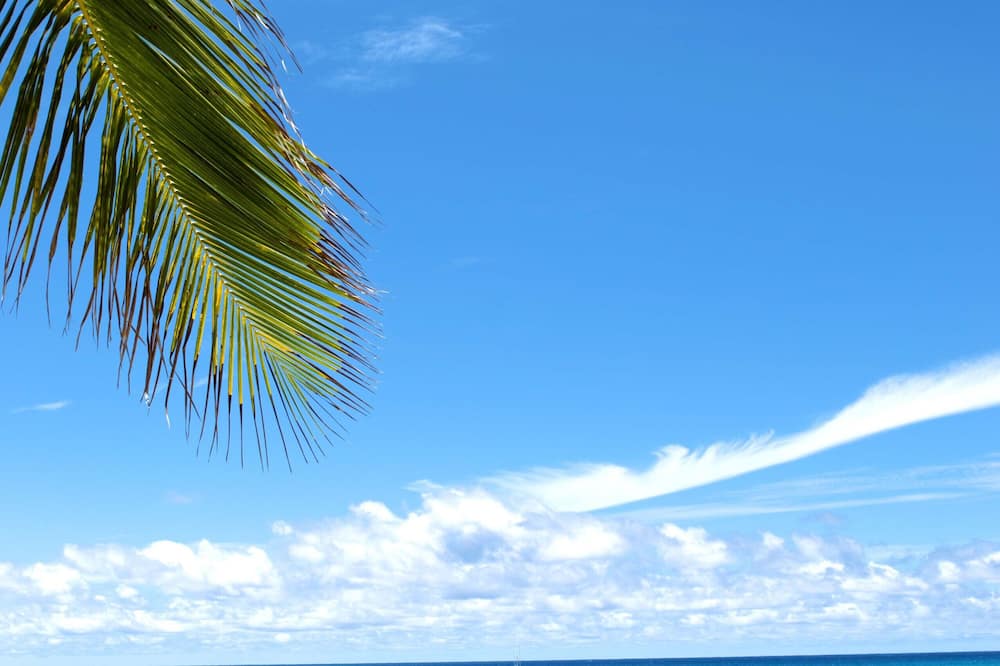 Barbados Beach Club - All Inclusive 写真