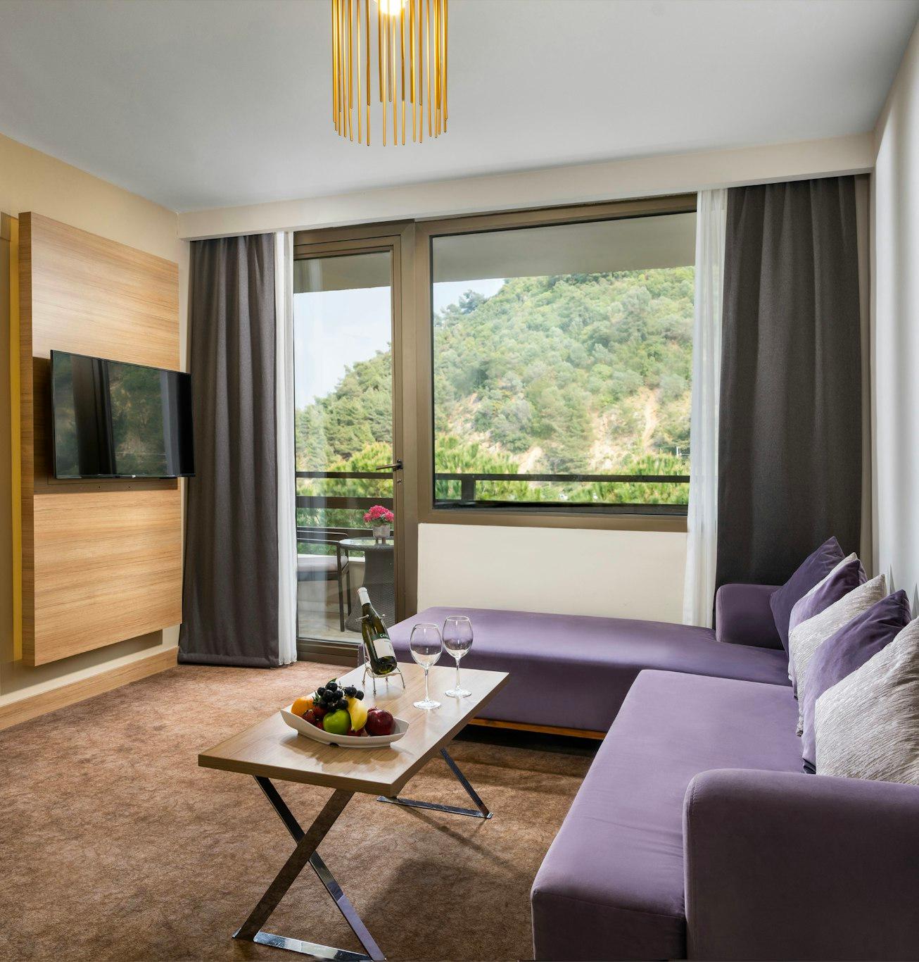 カヤ イズミール サーマル&コンベンション 写真