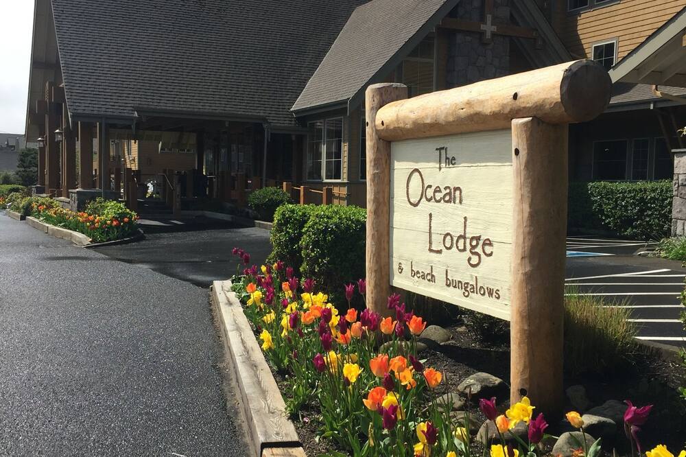 The Ocean Lodge 写真