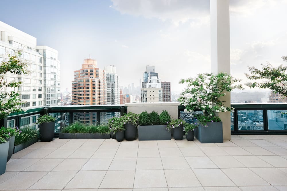 ハイアット ハウス ニューヨーク/チェルシー 写真