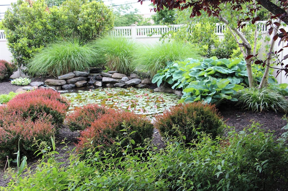 Courtyard by Marriott Lyndhurst Meadowlands 写真