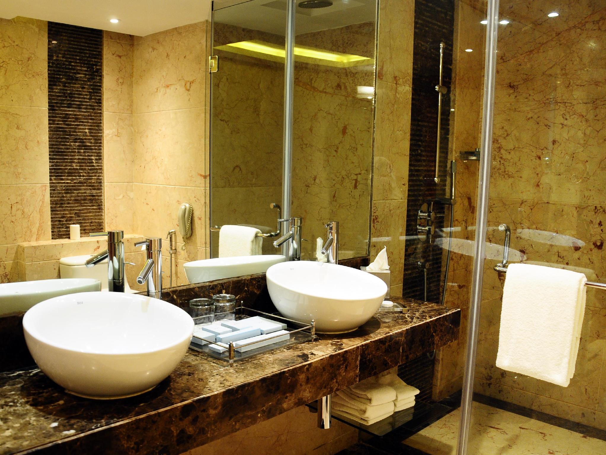 ラディソン ブル プラザ デリー エアポート 写真