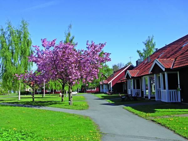 ウィシングソー ホテル & コンフェレンス 写真