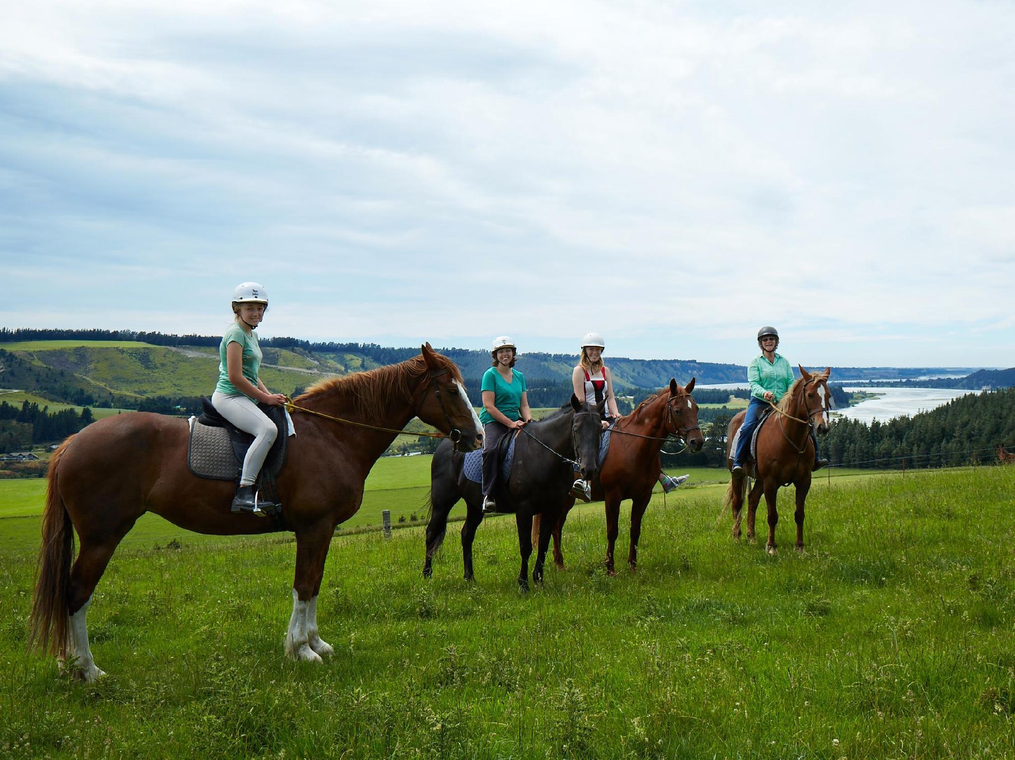 テラス ダウンズ 写真