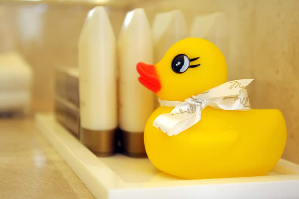 My City Hotel 写真