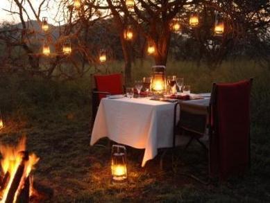 タンダー プライベート ゲーム リザーブ 写真