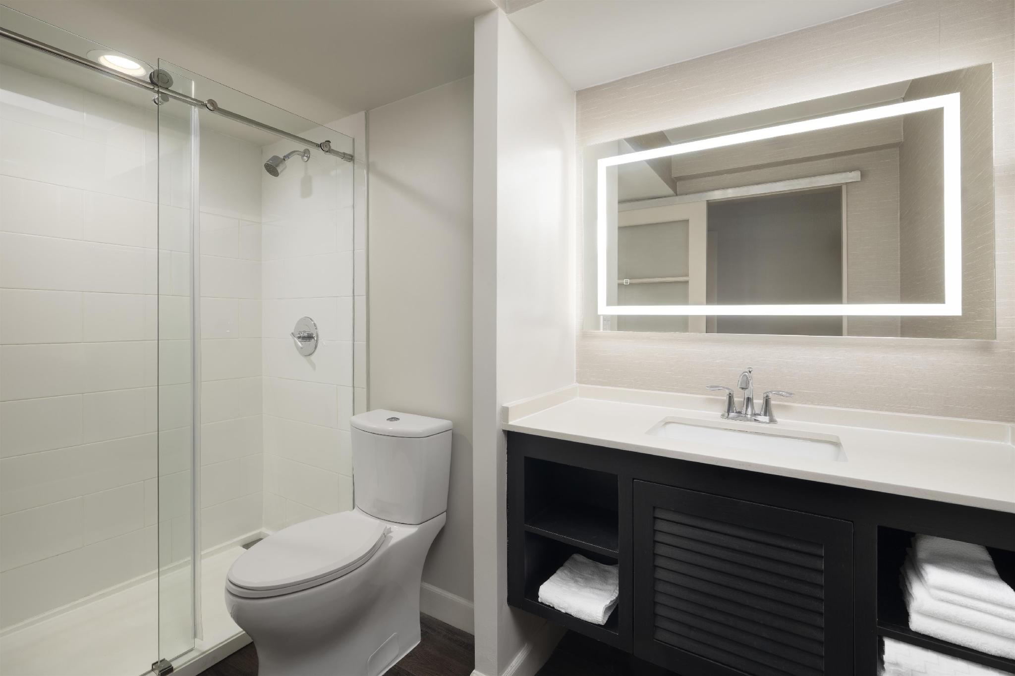 ザ デクストロ リトル イタリー BW プレミア コレクション 写真