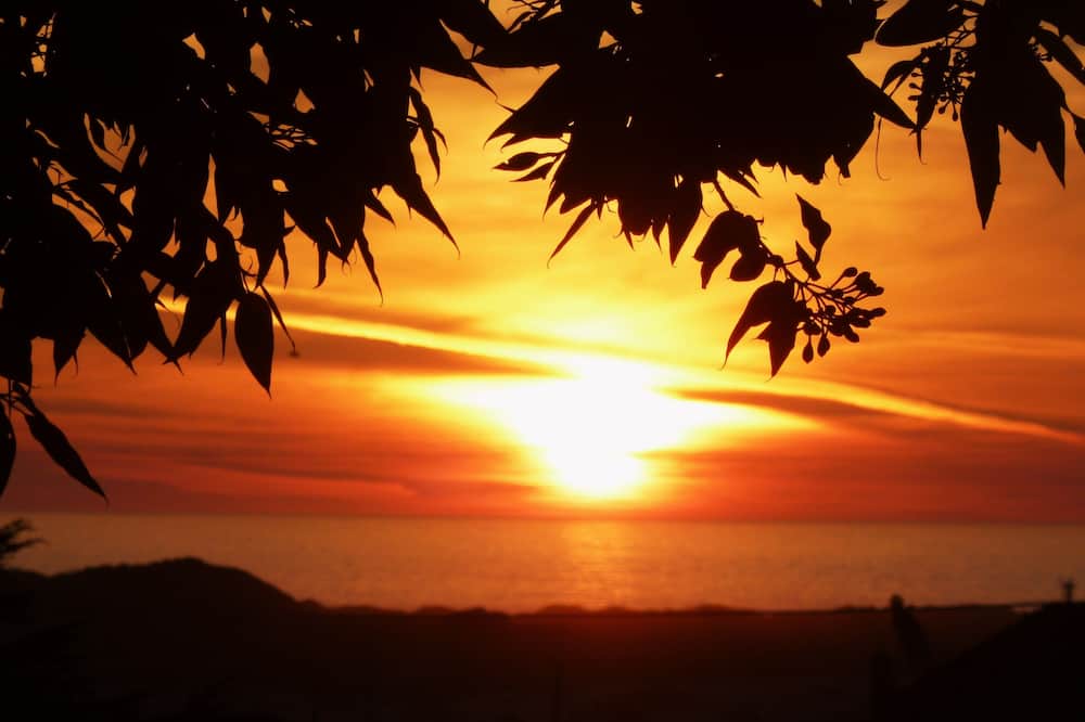 モロー ベイ サンドパイパー イン 写真