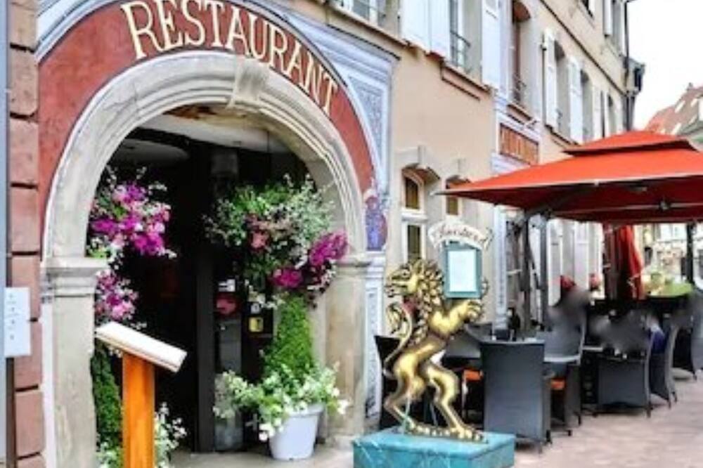 Hotel Au Lion d'Or 写真