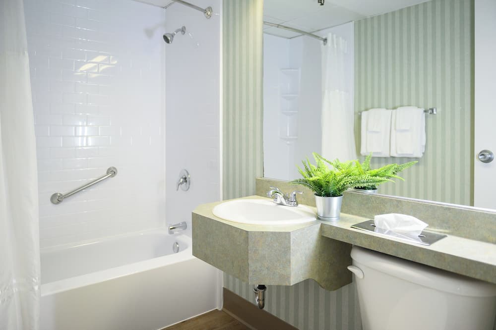 Rodd Grand Yarmouth 写真