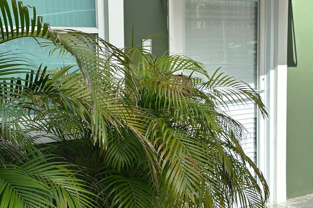 Casa Condado Hotel 写真