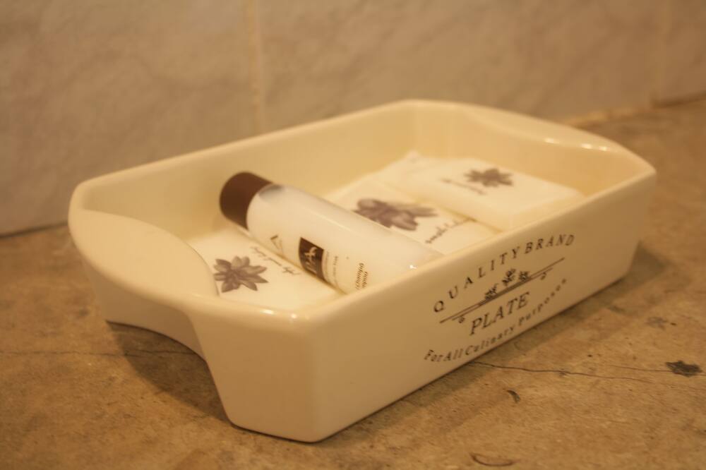 ホテル ド シレ 写真