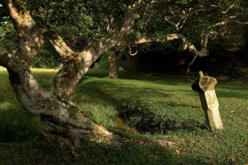 Lunuganga Estate 写真