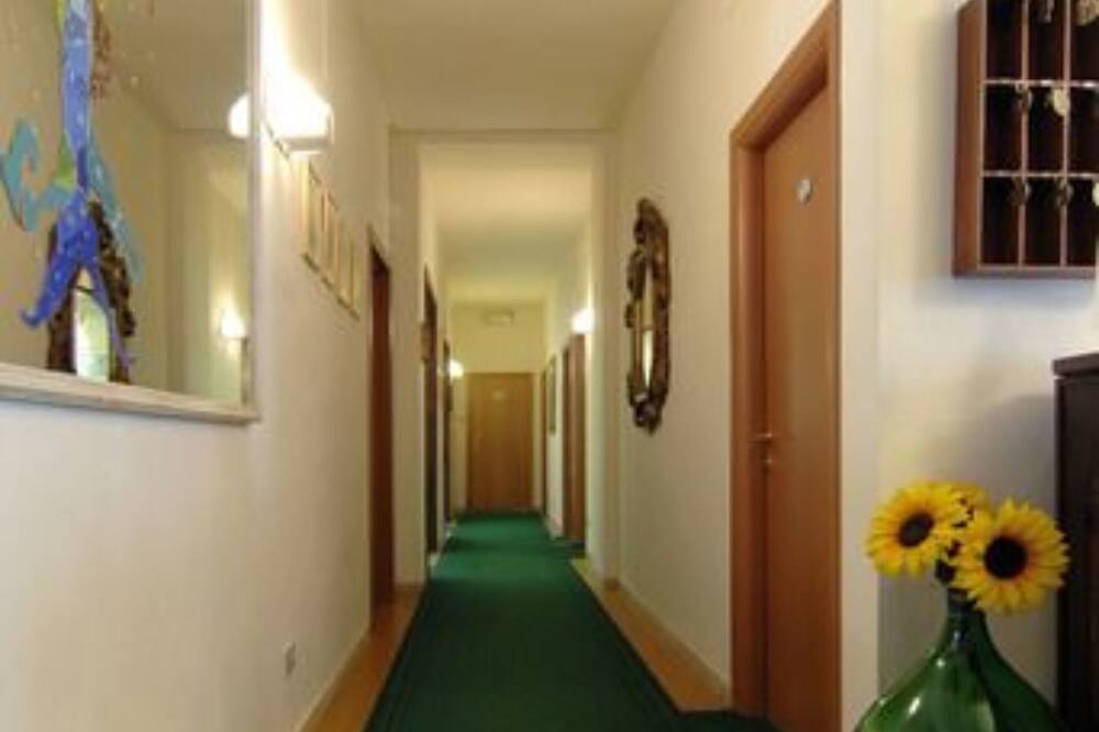 テル ダリ 写真