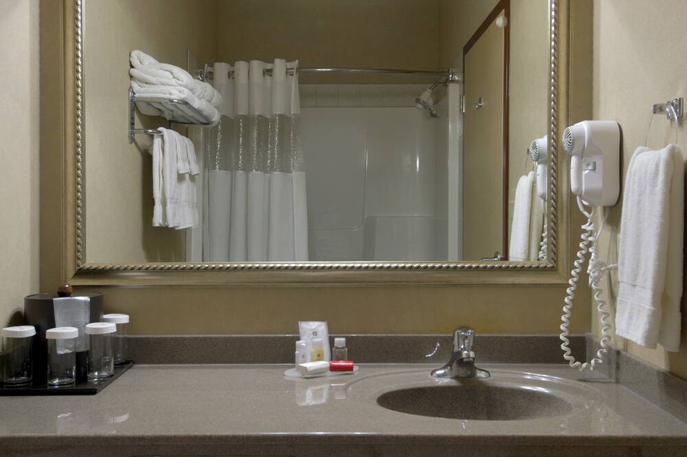 ラマダ バイ ウィンダム ドラムヘラー ホテル & スイーツ 写真