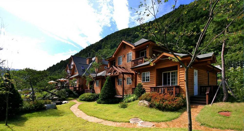 San Wool Rim pesion 写真