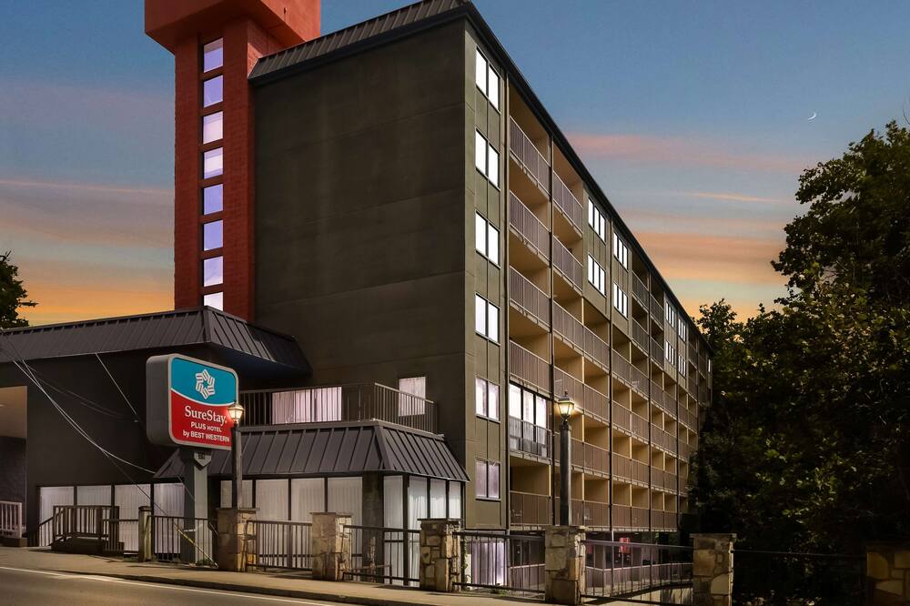 シュアステイ プラス ホテル バイ ベストウェスタン ガットリンバーグ 写真