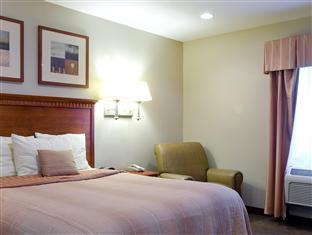 キャンドルウッド スイーツ LAX ホーソーン by IHG 写真