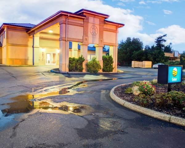 クオリティ イン フローレンス 写真