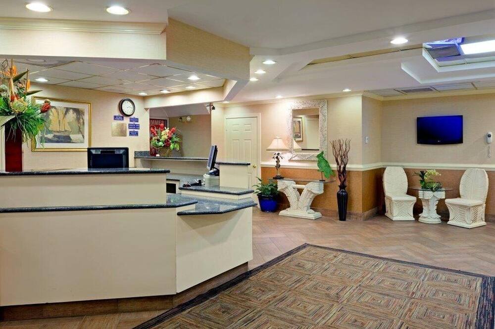 パラダイス プラザ イン 写真