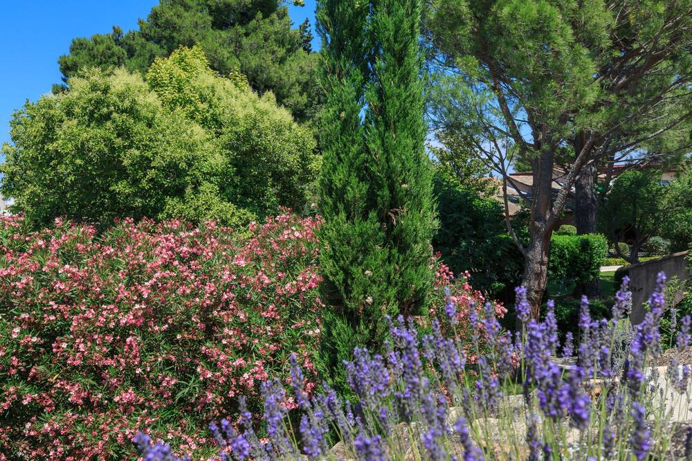 オーベルジュ ド カサーニュ＆スパ 写真