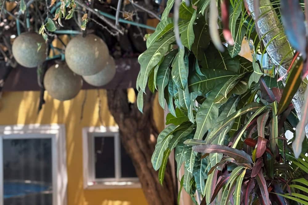 スイーツ カンクン センター 写真