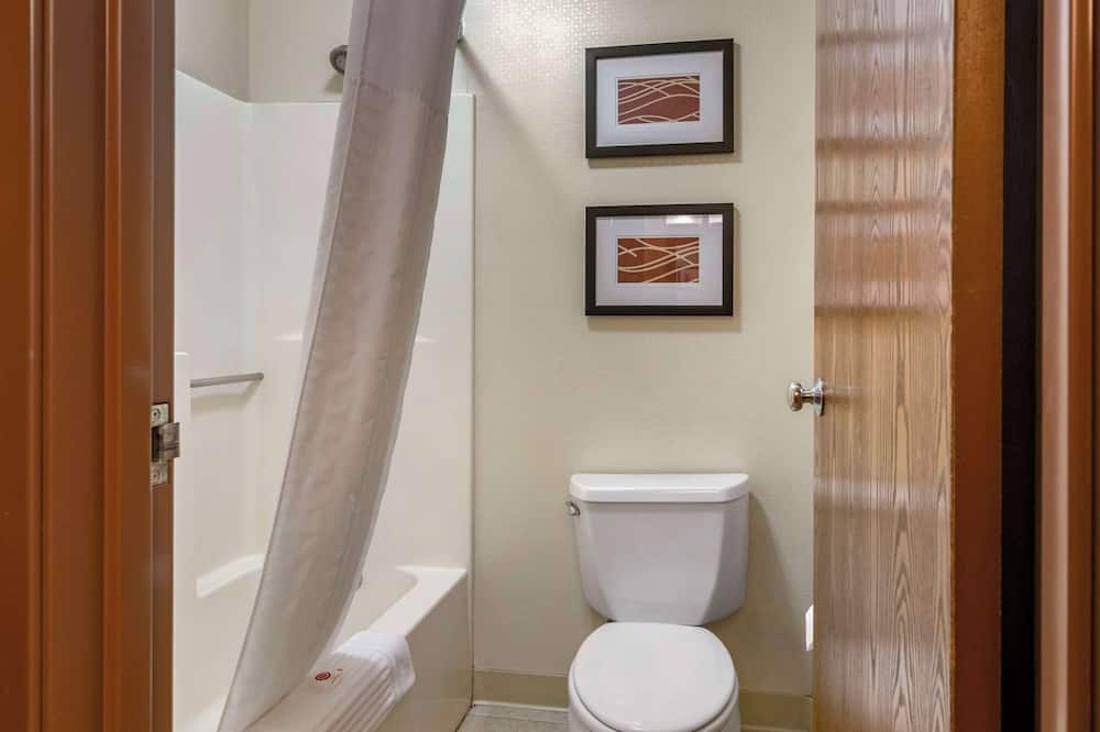 コンフォート  イン ボーズマン ニア ユニバーシティ 写真