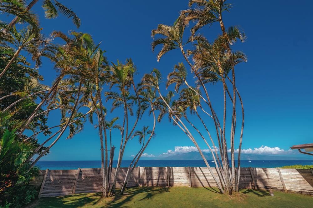 ロイヤル ラハイナ リゾート ＆ バンガローズ 写真
