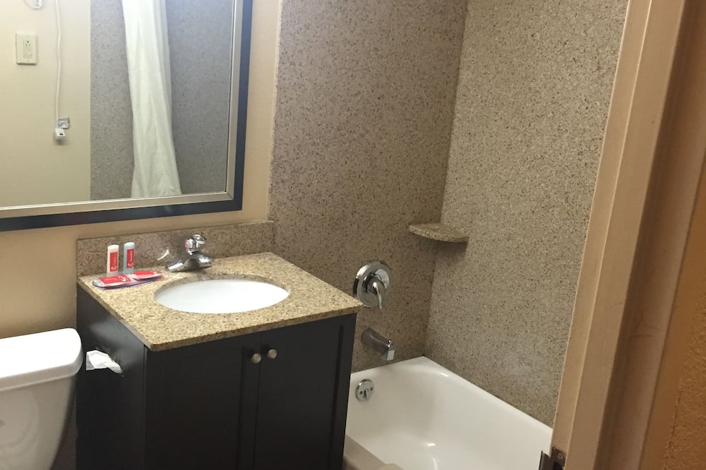 クオリティ イン ニア ピムリコ レーストラック 写真