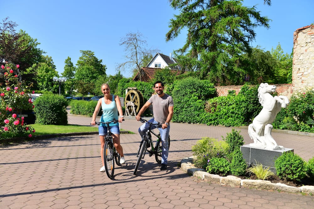 ロビンガー ホテル ウェイセス ロス 写真