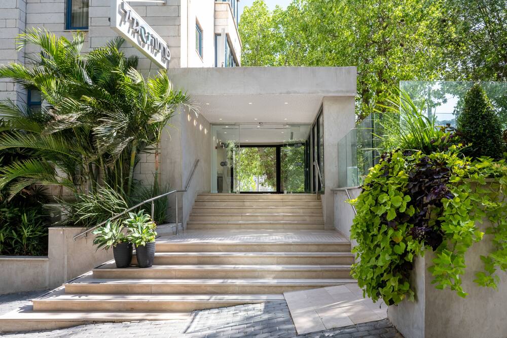 プリマ ガリル 写真