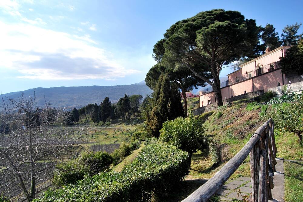 ホテル エトネア 316 写真