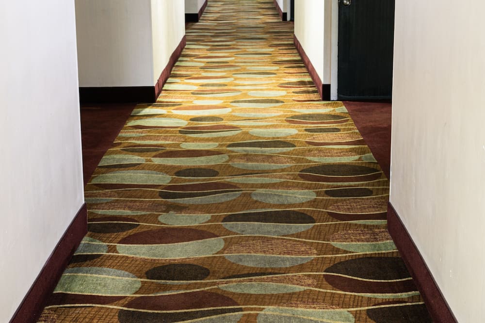 セレクト イン マーフリーズボロ 写真