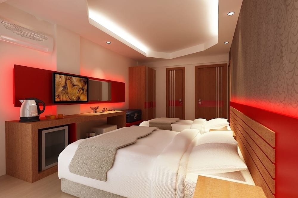 アニル ホテル 写真