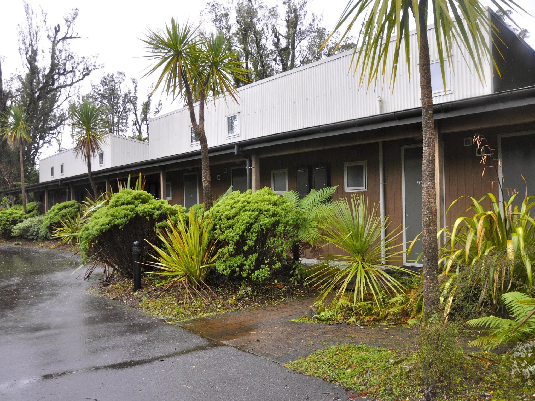 プンガ グローブ 写真