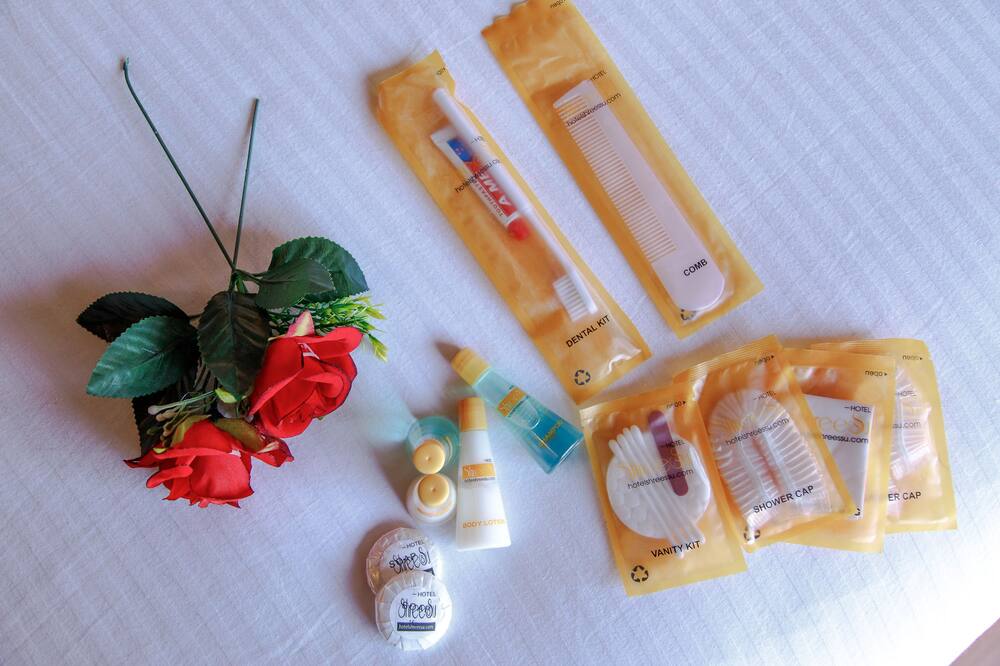 ホテル シュリズー 写真