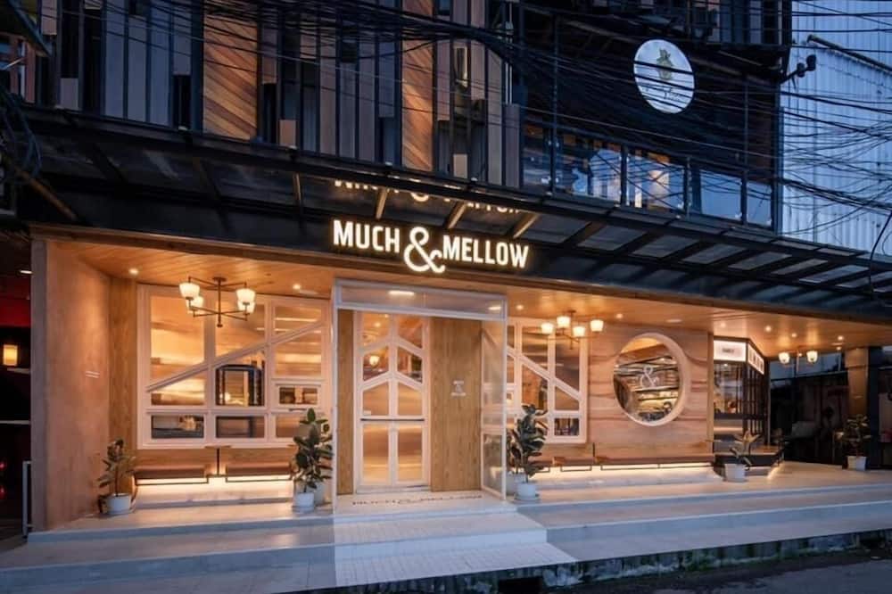 ファミリー トゥリー ホテル 写真