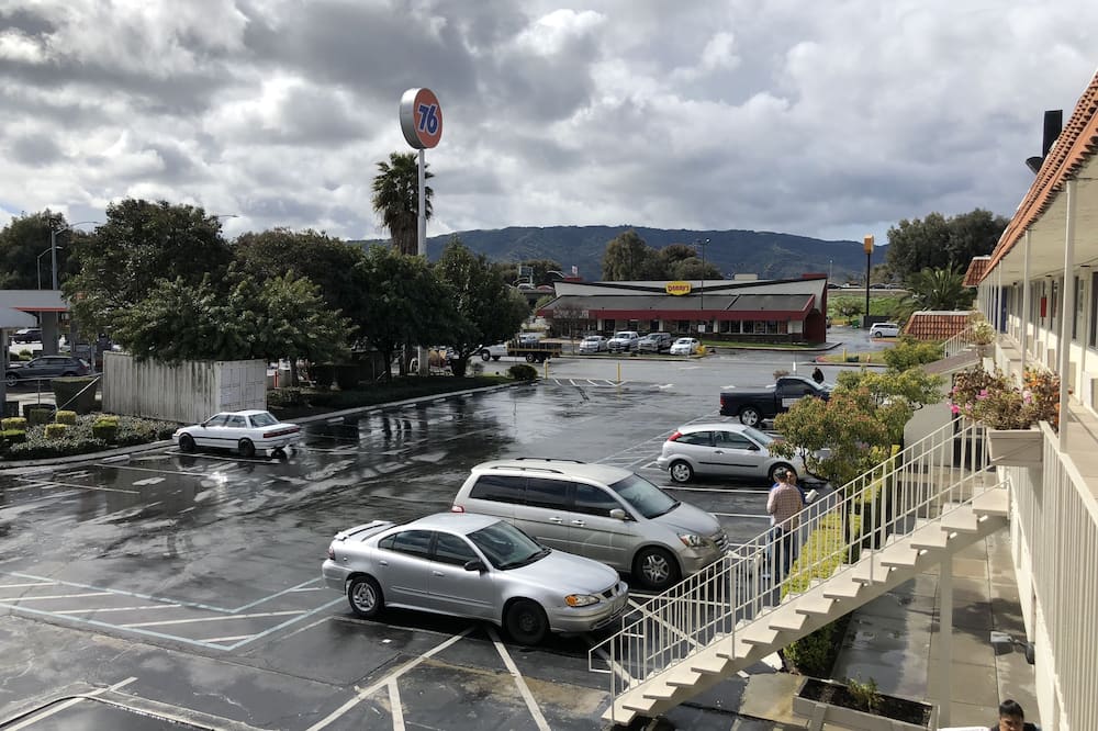 ギルロイ イン 写真