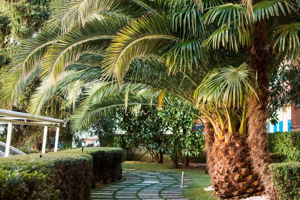 VP エル マドローニョ 写真