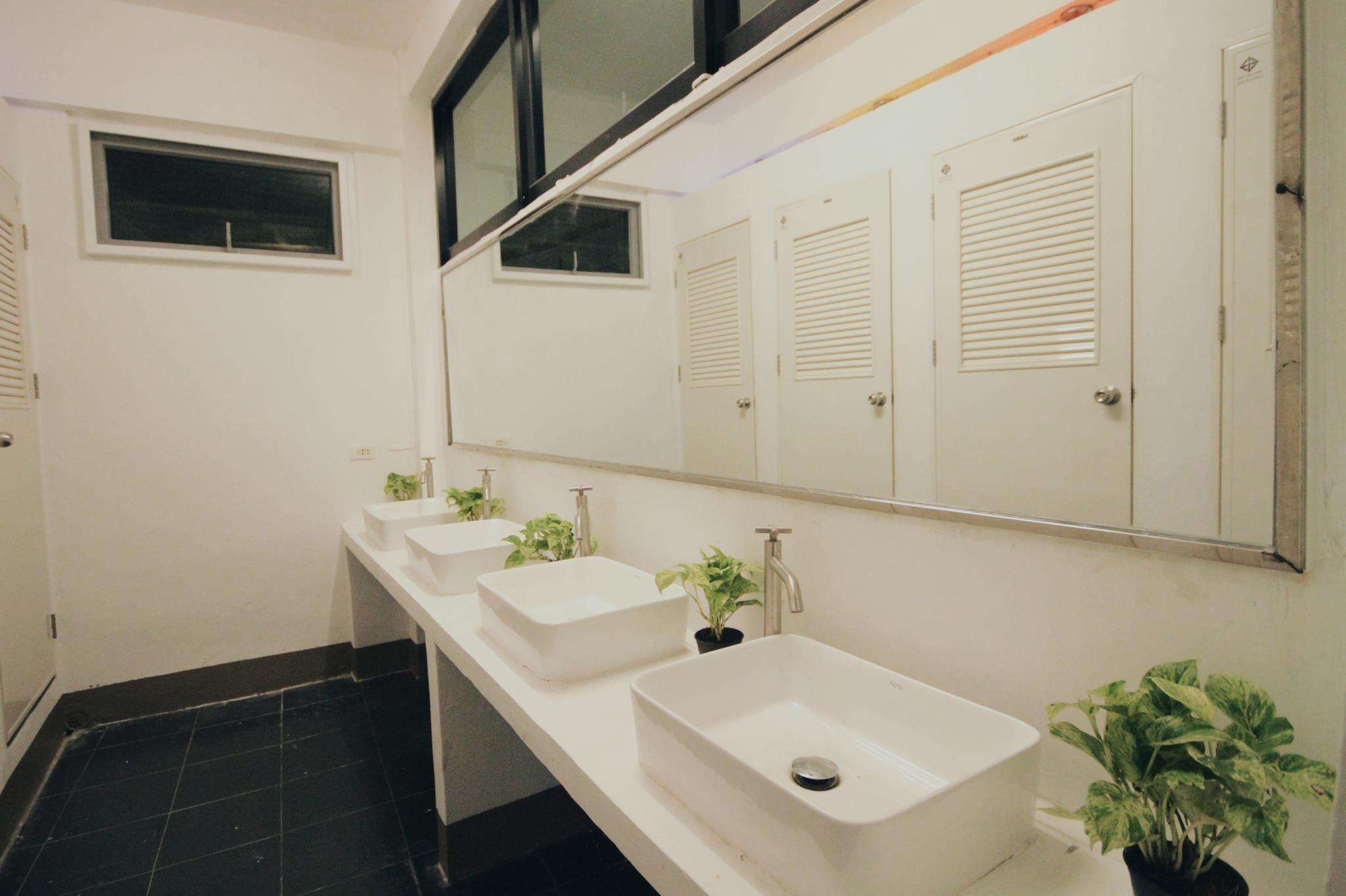 ミント ホステル 写真