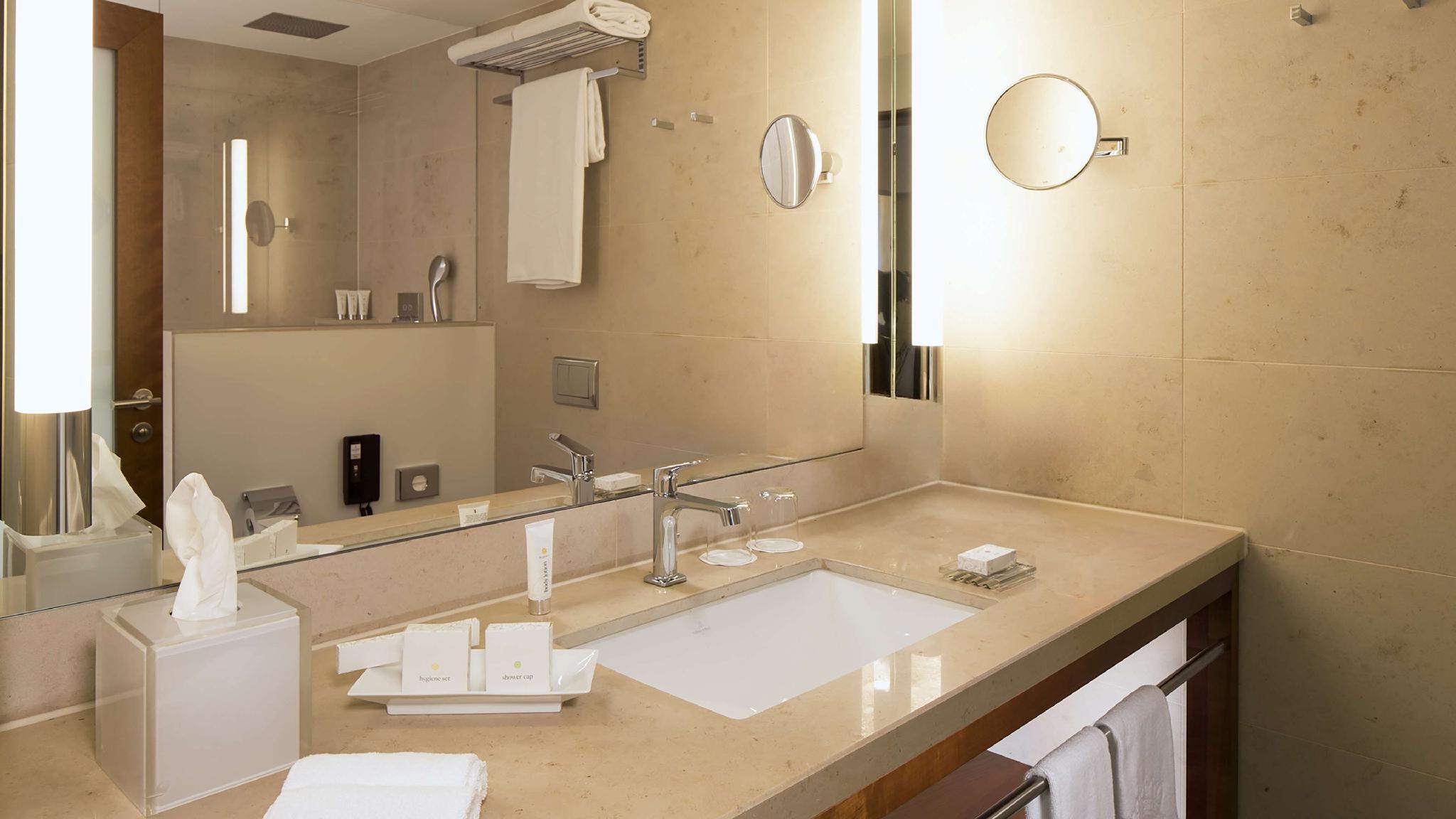 ヒルトン フランクフルト グラーヴェンブルッフ 写真