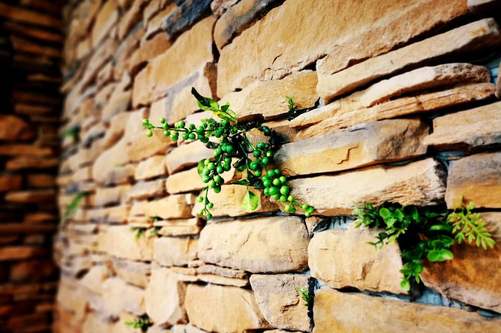 ブルーウォーター ホテル 桃園 (藍水軽旅) 写真