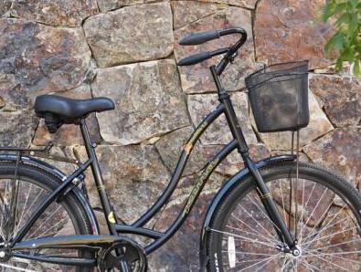 ザ ホワイト バッファロー クラブ 写真