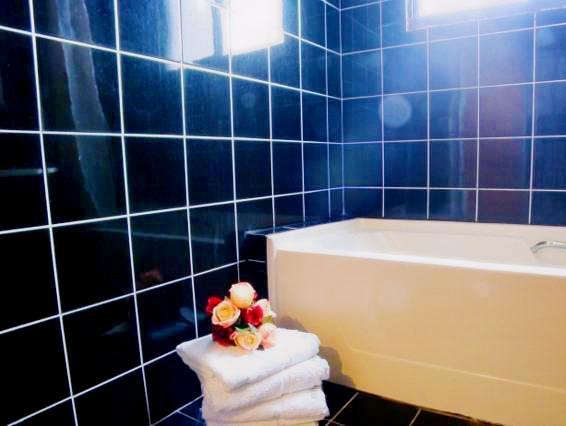 タイタン トラベラー ホテル 写真