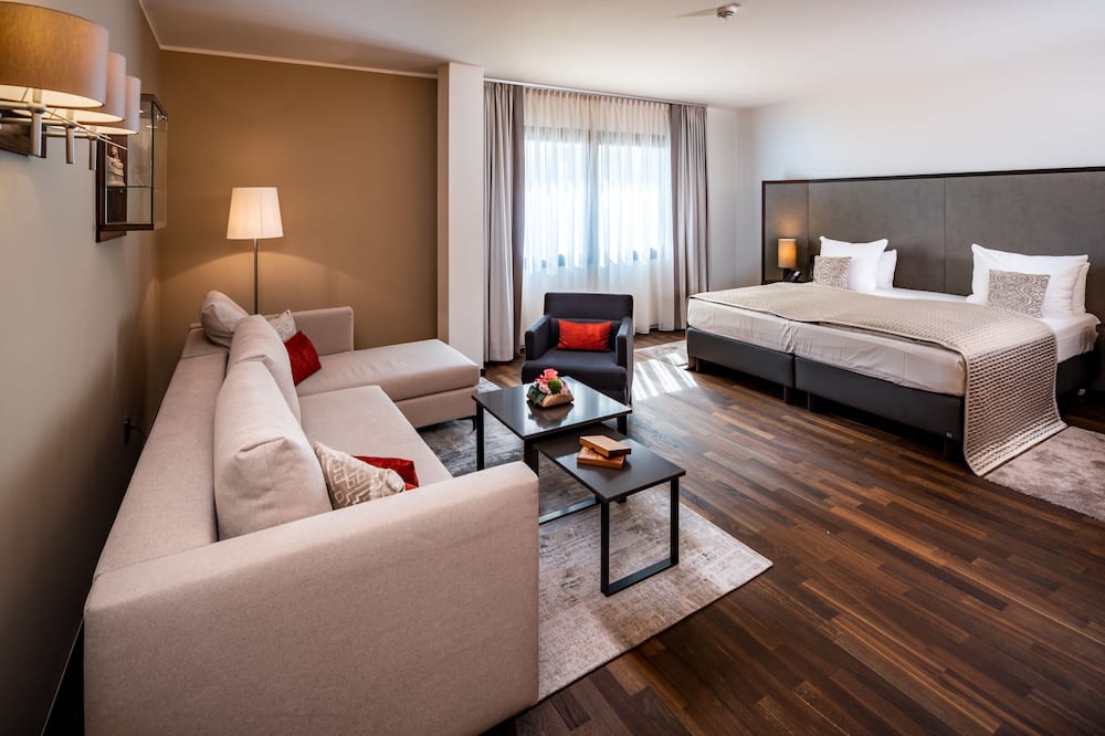 パーク プラザ トリーエル ホテル 写真