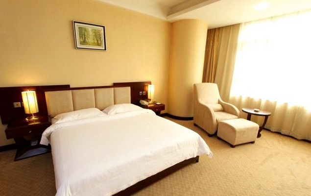 shen zhèn yí feng shang wù jiu diàn 写真