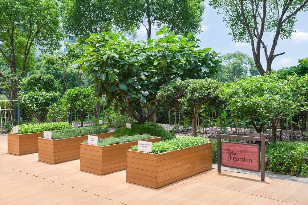 JW マリオット マーキス ホテル シャンハイ プドン 写真