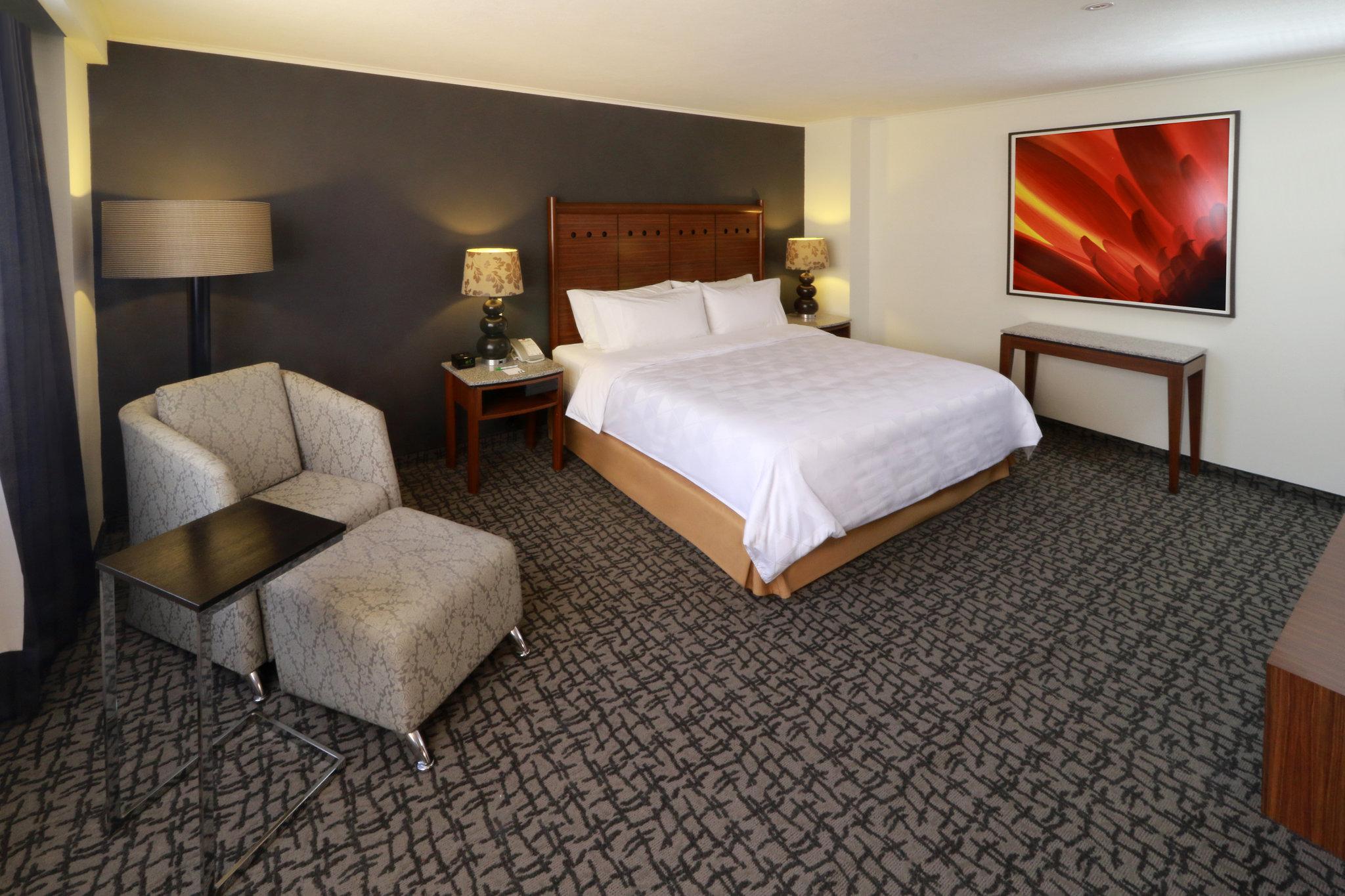 ホリデイ イン メキシコシティ トレードセンター バイ IHG 写真
