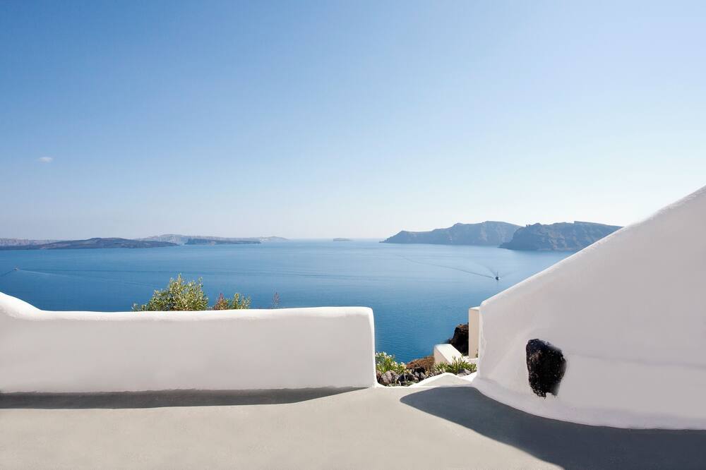 アレクサンダーズ スイート 写真