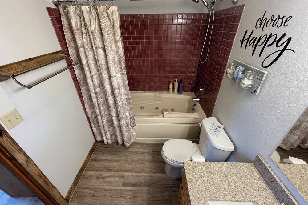 デナリ レイクビュー イン 写真